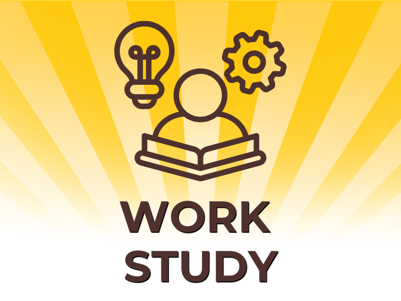 Person reading a book beneath a light bulb and gear icon, with the words “WORK STUDY” on a yellow sunburst background.