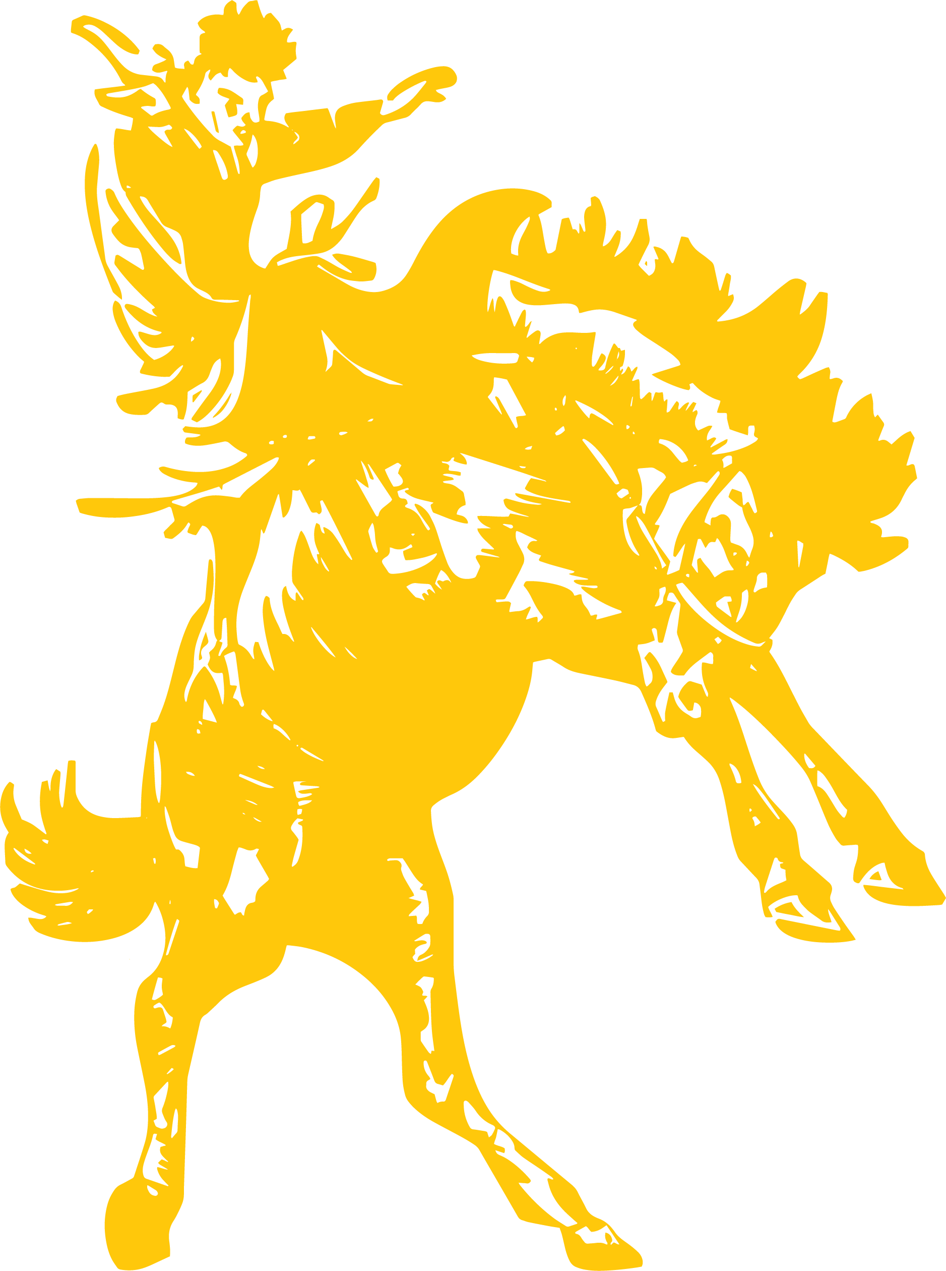 Broncbuster logo solid gold