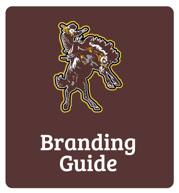 Branding Guide Button